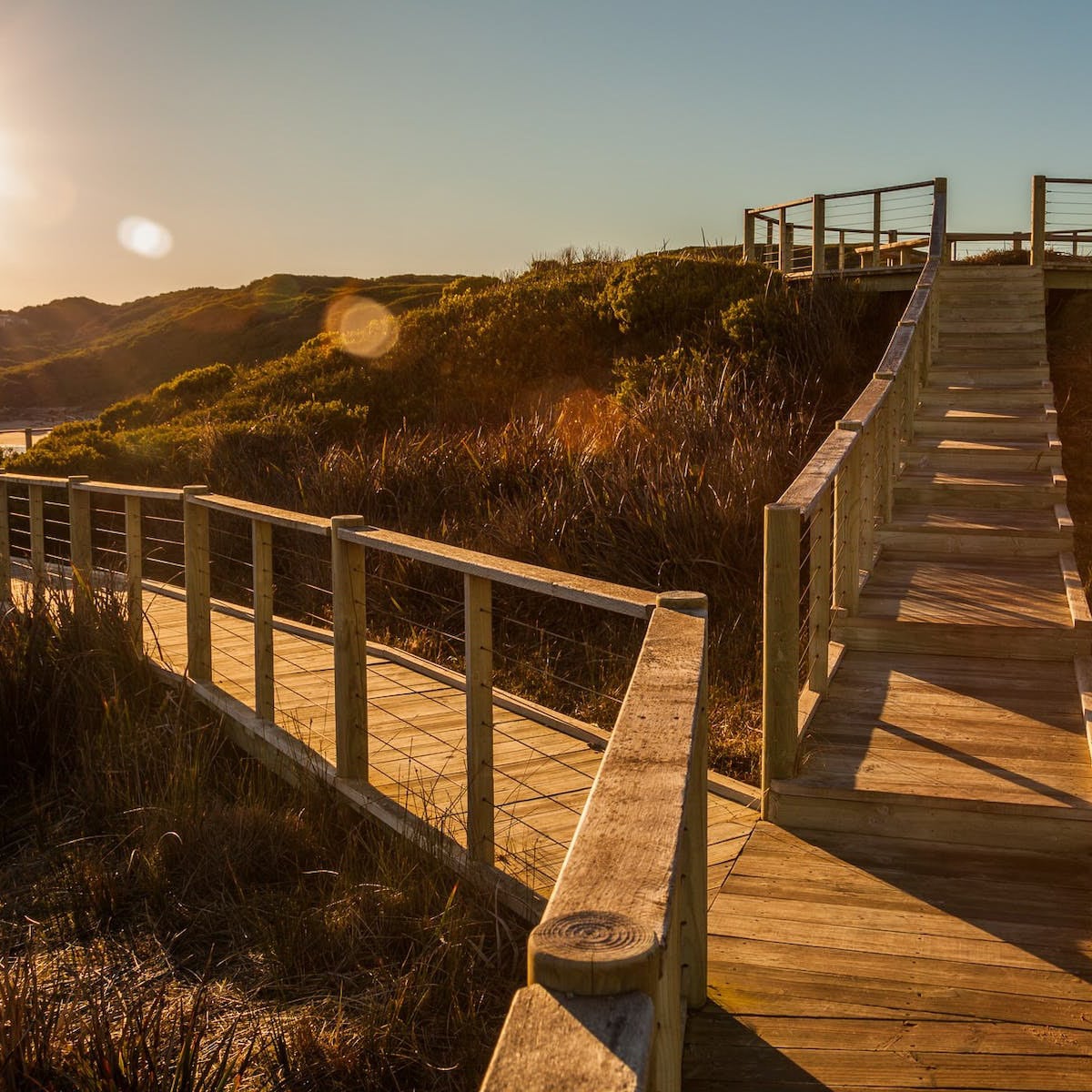 Two timber boardwalks form a v shape over grassy sand dunes at sunrise. Everything has a deep golden glow.