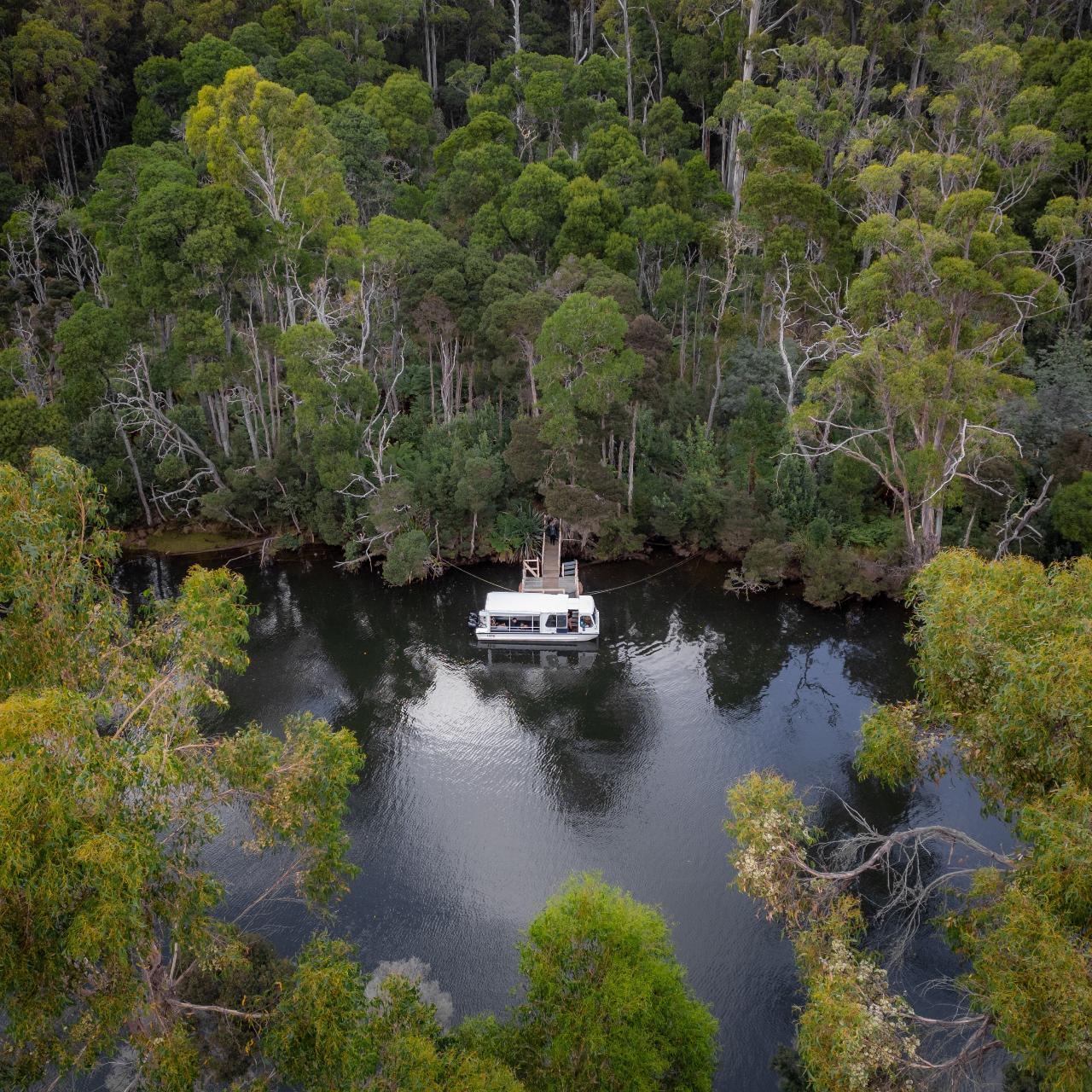 White Leven River Cruises riverboat docked at a small jetty on a still, forest-lined river surrounded by dense, green Tasmanian bushland.