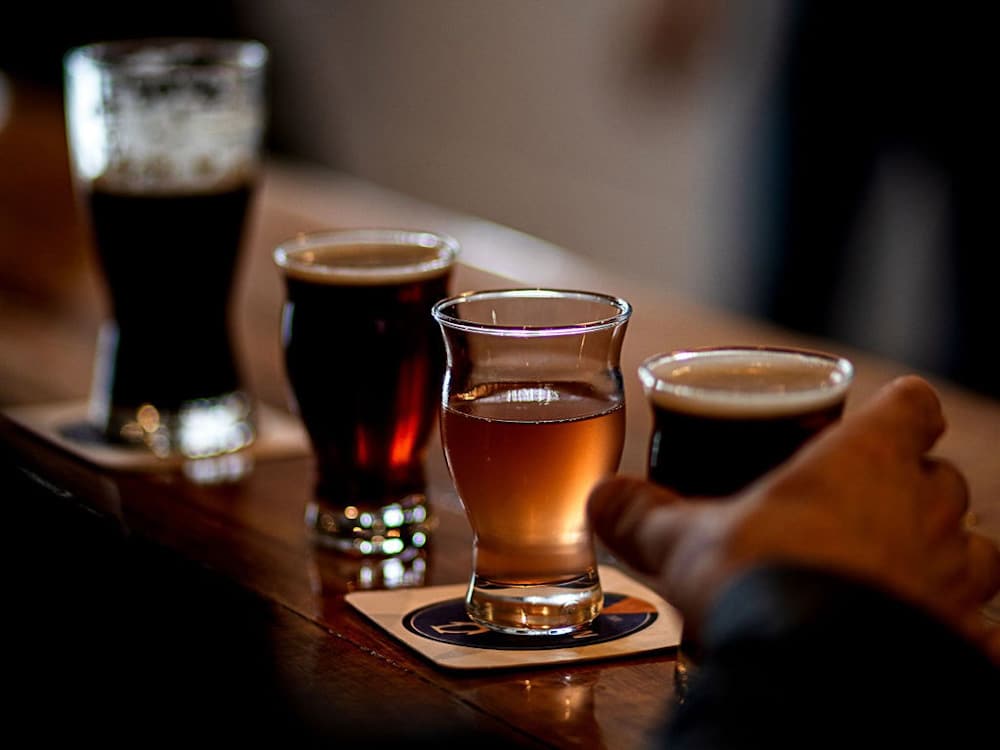 Variety of beer colours lined up along the bar at Penguin Beer Co.