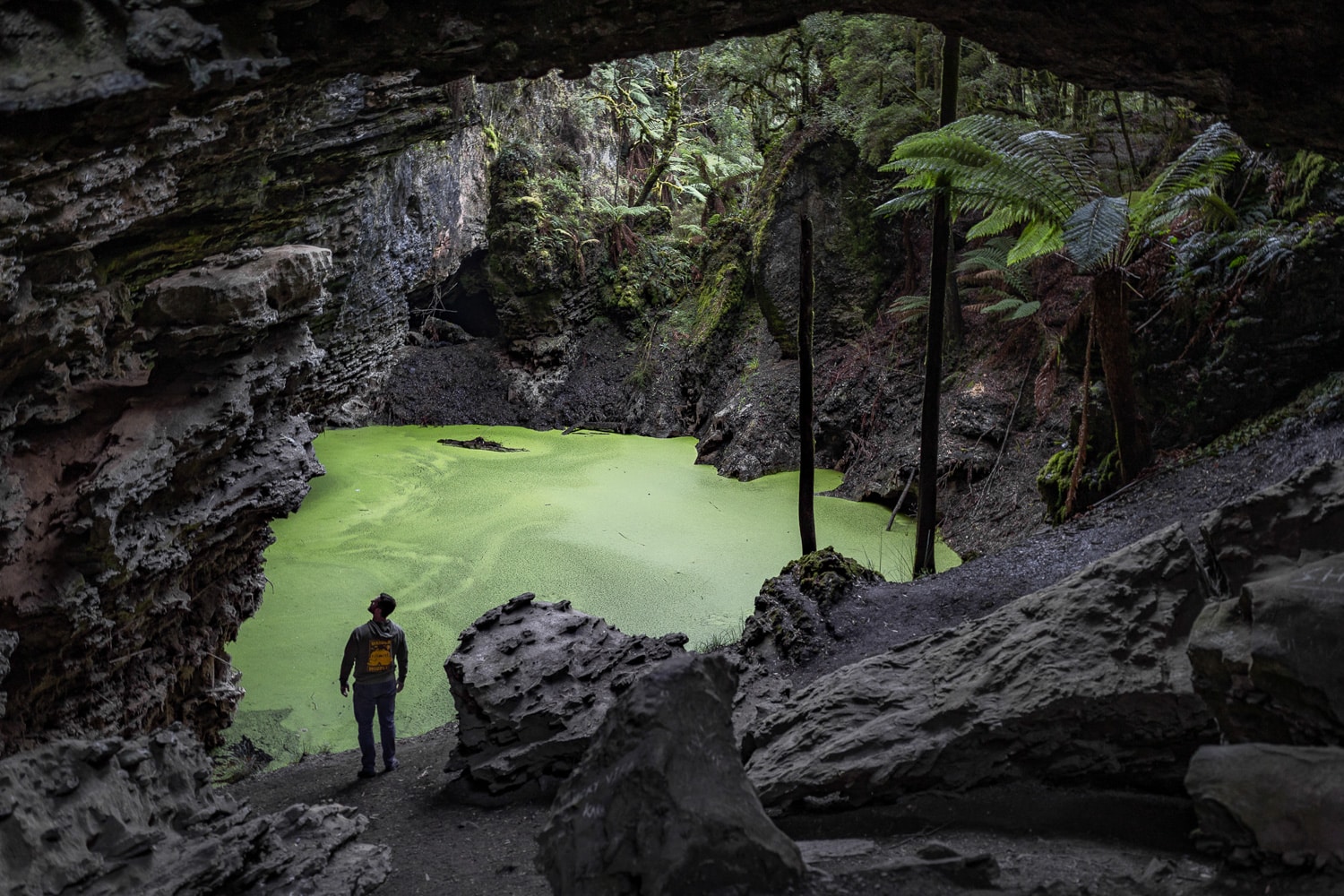 Visitor standing beneath Trowutta Arch beside a green sinkhole in North West Tasmania