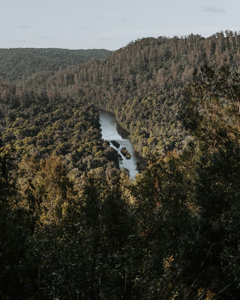 Aerial view of a winding river cutting through dense Tarkine rainforest and eucalypt forest. Forested hills roll into the distance under overcast skies, with the river's dark water reflecting the canopy as it meanders through the wilderness.