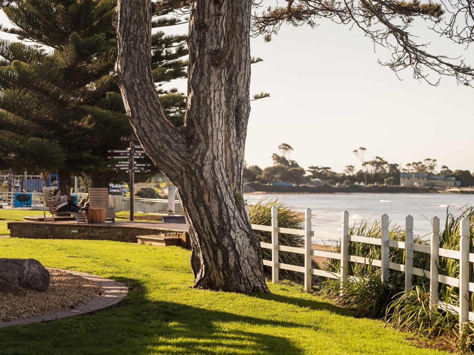 Penguin foreshore