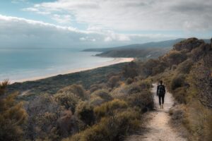 Elevated view across Bakers Beach and the coastline of Narawntapu National Park, Tasmania.