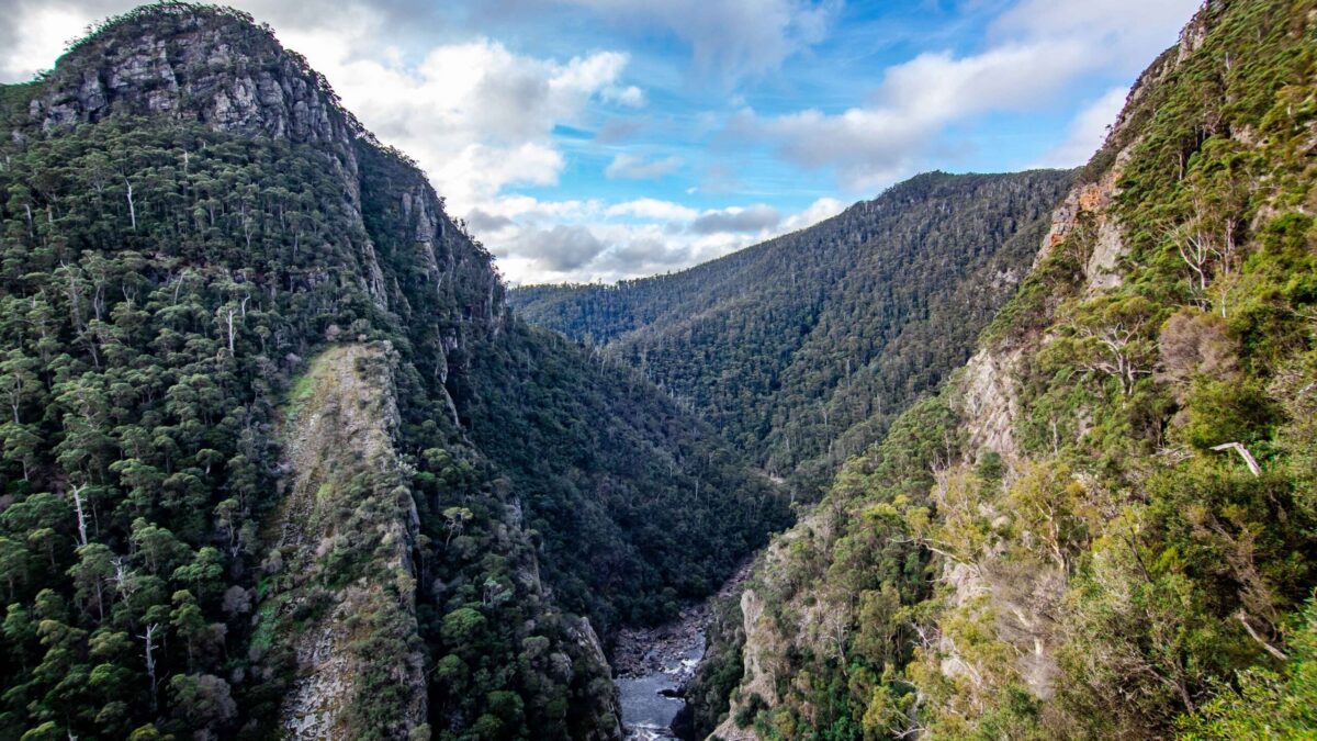 View across the steep forested cliffs and valley of Leven Canyon in North West Tasmania