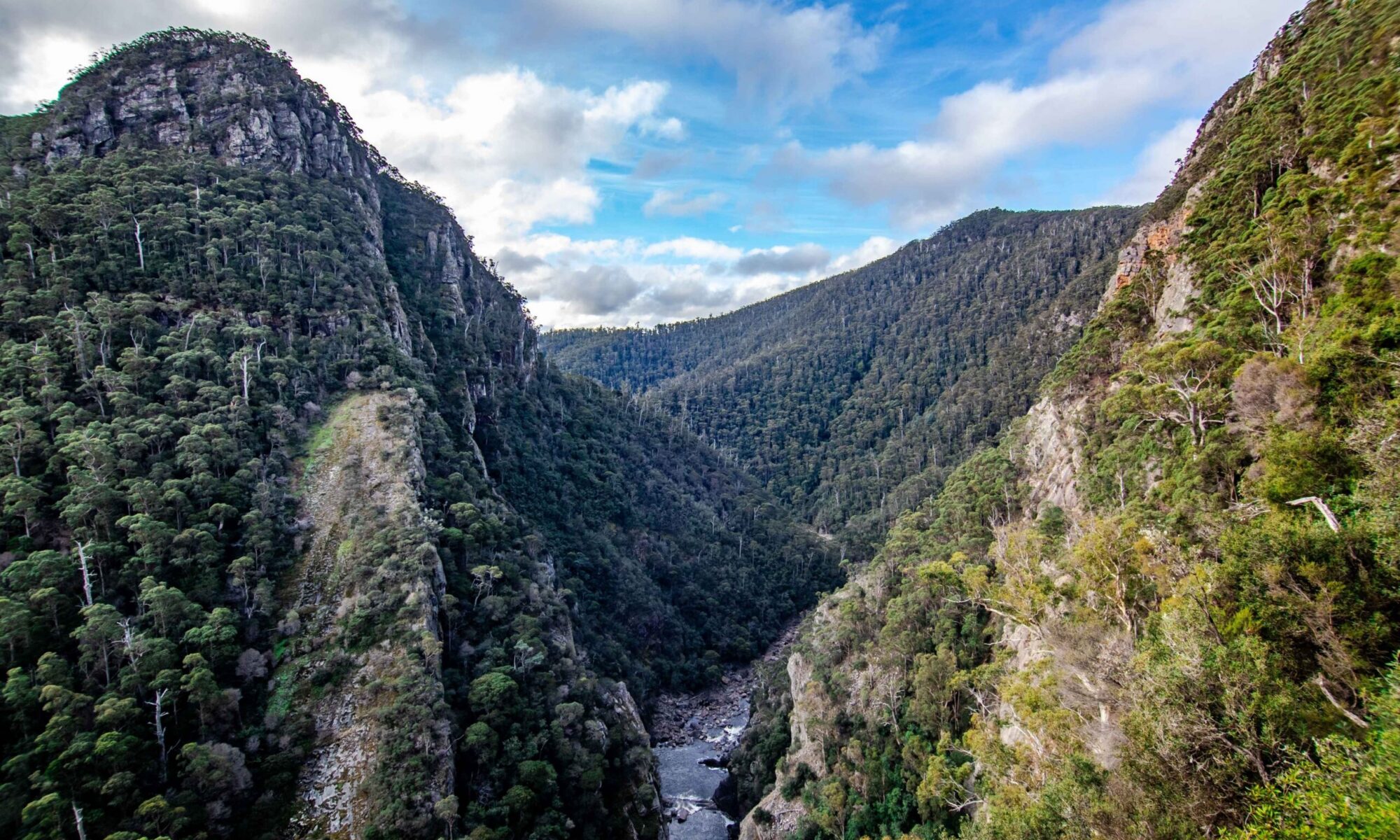 Walk your way around Burnie, Penguin and Leven Canyon
