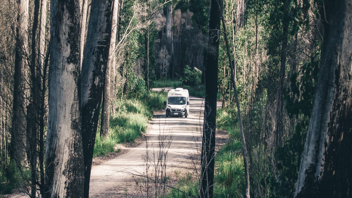 Motorhome travelling along the Western Explorer through forest in North West Tasmania