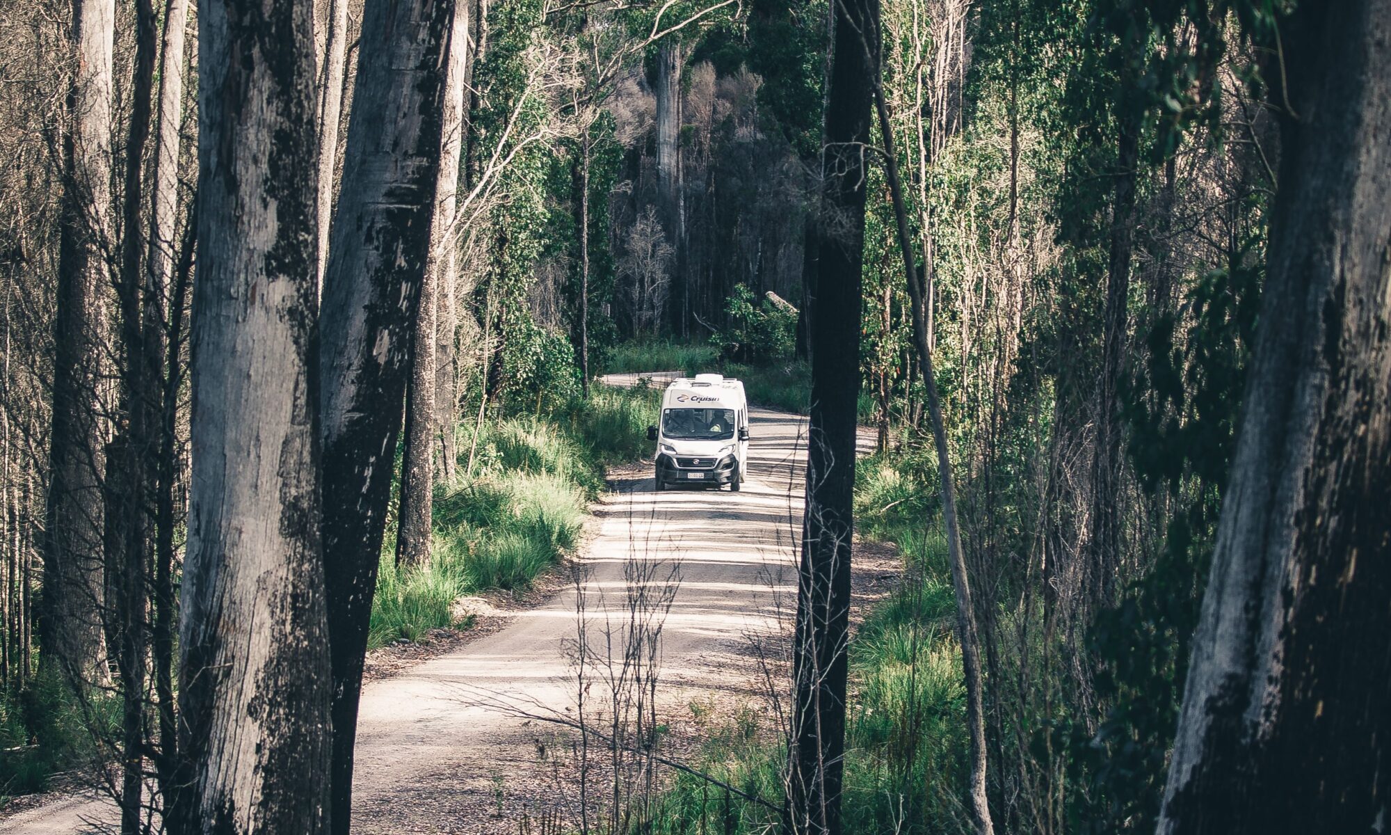 Motorhome travelling along the Western Explorer through forest in North West Tasmania
