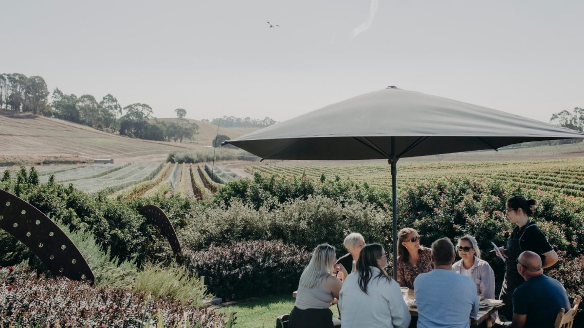 Visitors enjoying an outdoor meal overlooking the vines at Eastford Creek Vineyard in Sassafras, Tasmania.