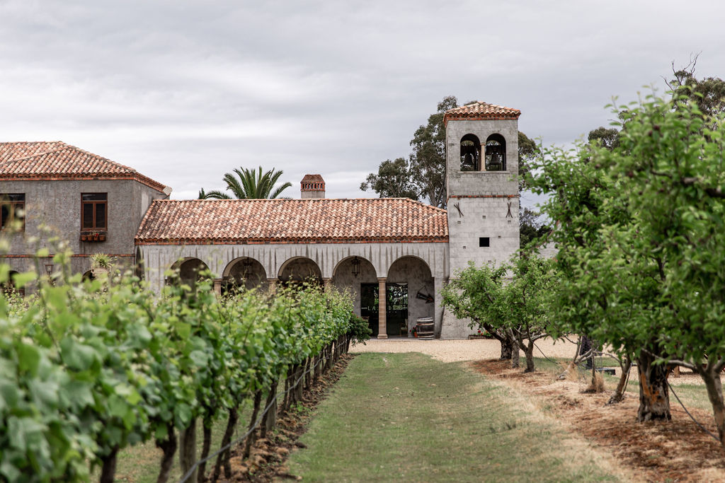 Vineyard rows leading towards the Italian-inspired cellar door at La Villa Wines in Spreyton, Tasmania.