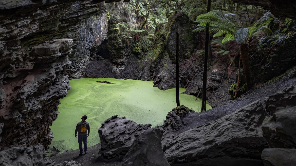 Person looking up inside Trowutta Arch, a rock sinkhole with a bright green pond and tree ferns, North West Tasmania.