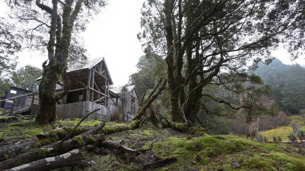 Waldheim Chalet tucked among the moss-covered forest at Cradle Mountain.